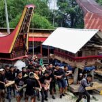 Tentu, berikut adalah artikel tentang "Melacak Kearifan Budaya Suku Toraja: Tradisi Unik dalam Kehidupan Sehari-hari": Melacak Kearifan Budaya Suku Toraja