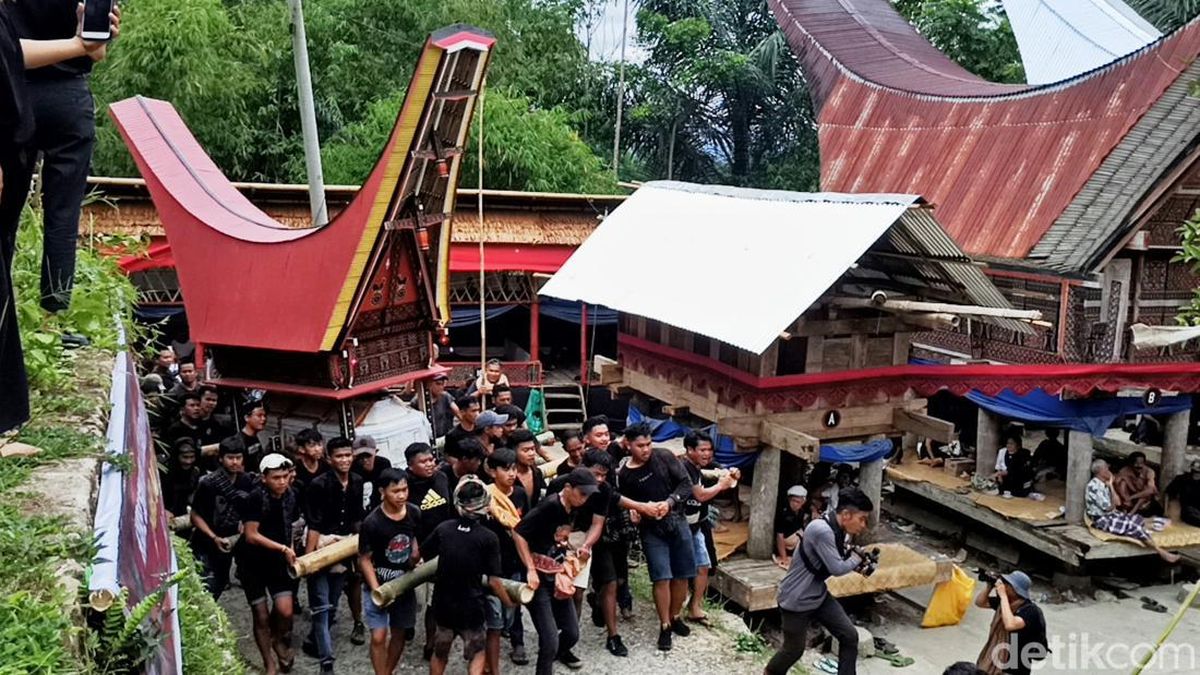 Tentu, berikut adalah artikel tentang "Melacak Kearifan Budaya Suku Toraja: Tradisi Unik dalam Kehidupan Sehari-hari": Melacak Kearifan Budaya Suku Toraja