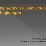 Penegakan Hukum Lingkungan di Indonesia: Kendala dan Solusi Menuju Keberlanjutan