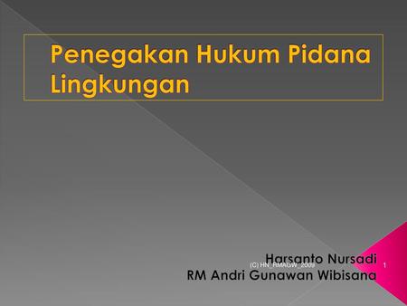 Penegakan Hukum Lingkungan di Indonesia: Kendala dan Solusi Menuju Keberlanjutan