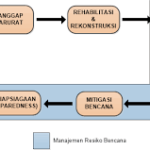 Sinergi Global dalam Respons Bencana Alam di Indonesia