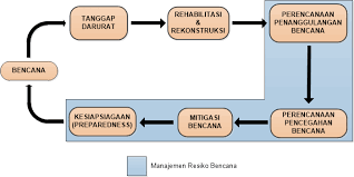 Sinergi Global dalam Respons Bencana Alam di Indonesia