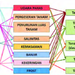 Analisis Dampak Perubahan Iklim pada Sektor Pertanian di Indonesia