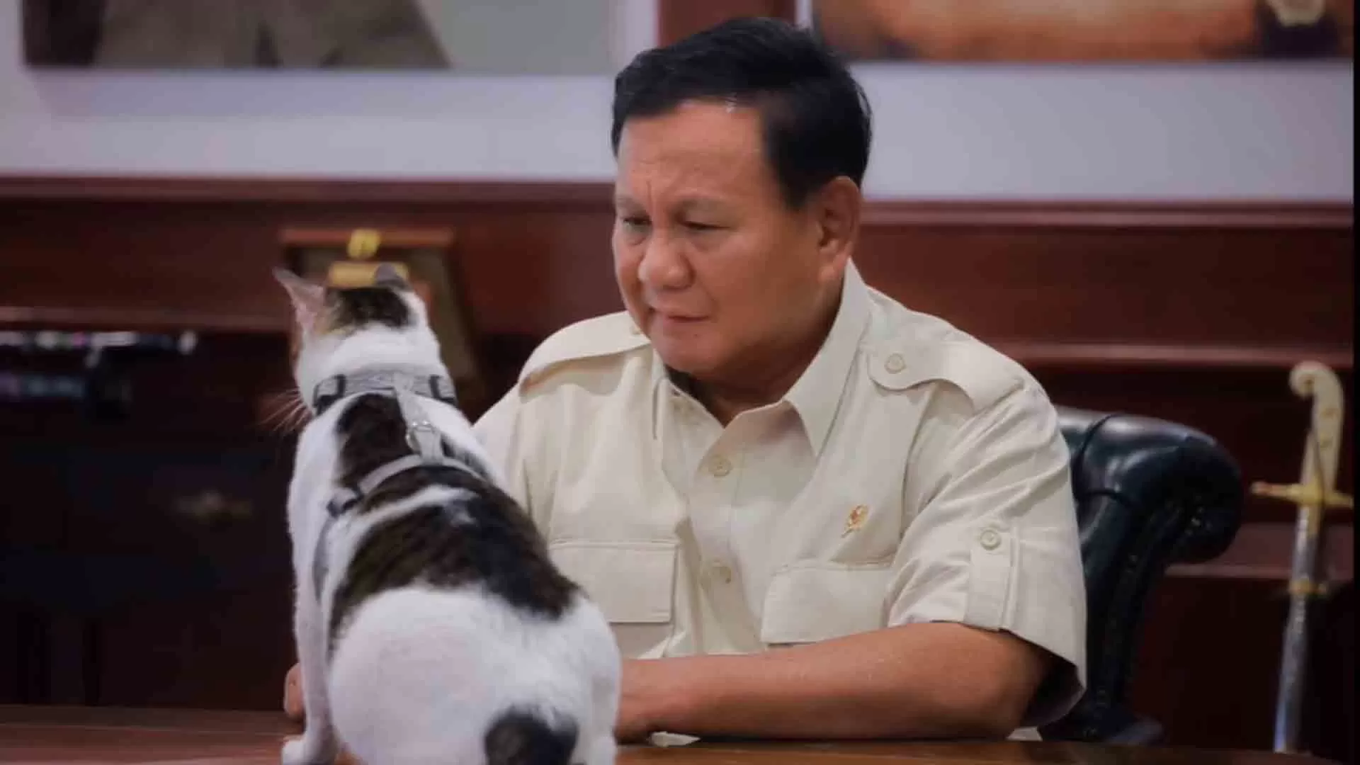 Kucing Bobby Kertanegara