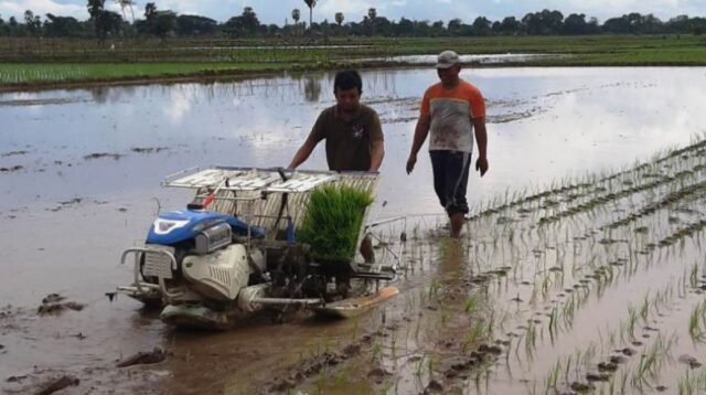 pungli-bantuan-alsintan-kementan-imbau-petani-laporkan-ke-aph