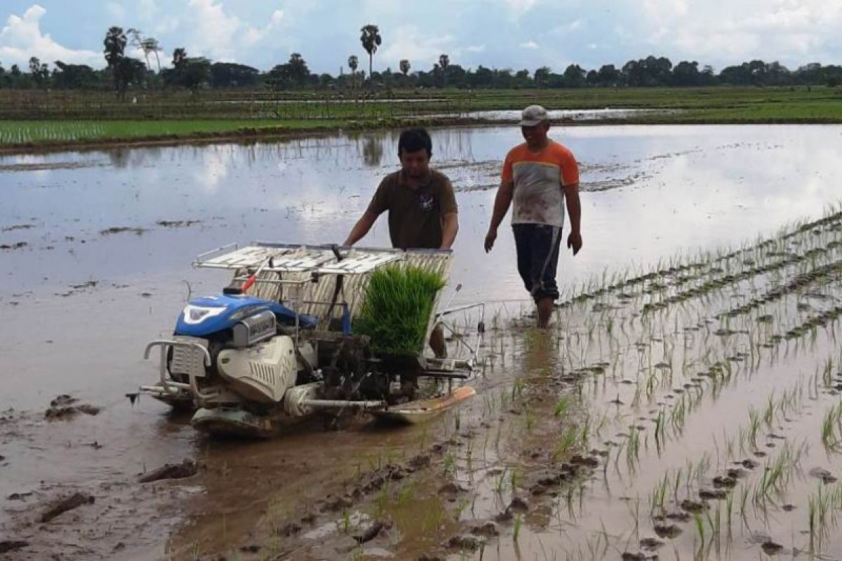 pungli-bantuan-alsintan-kementan-imbau-petani-laporkan-ke-aph